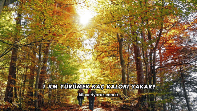 1 Km Yürümek Kaç Kalori Yakar?
