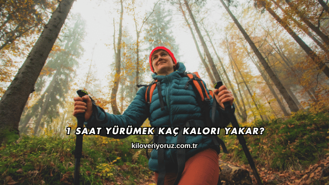 1 Saat Yürümek Kaç Kalori Yakar?