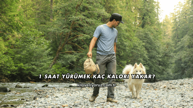 1 Saat Yürümek Kaç Kalori Yakar?