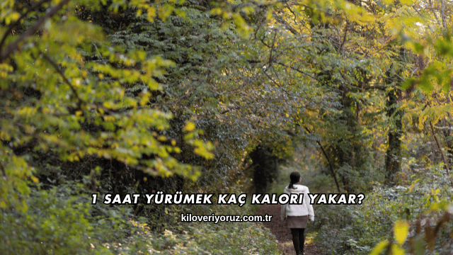 1 Saat Yürümek Kaç Kalori Yakar?