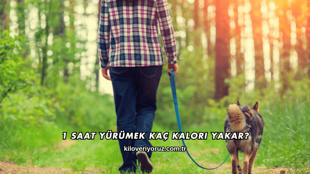 1 Saat Yürümek Kaç Kalori Yakar?