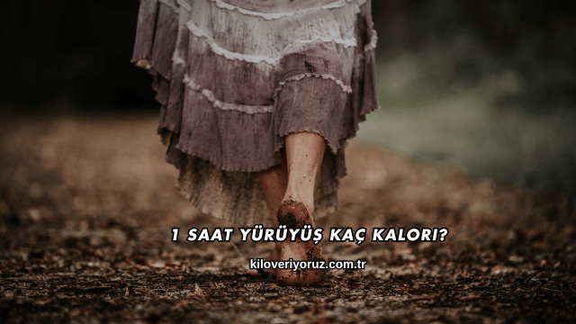 1 Saat Yürüyüş Kaç Kalori?