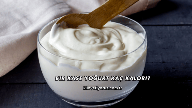 Bir Kase Yoğurt Kaç Kalori?