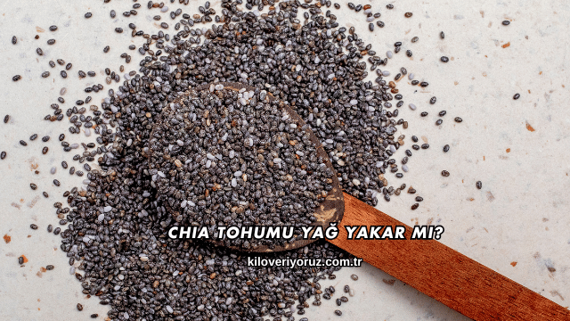 Chia Tohumu Yağ Yakar mı?