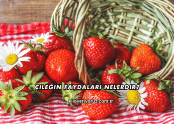 Çileğin Faydaları Nelerdir?