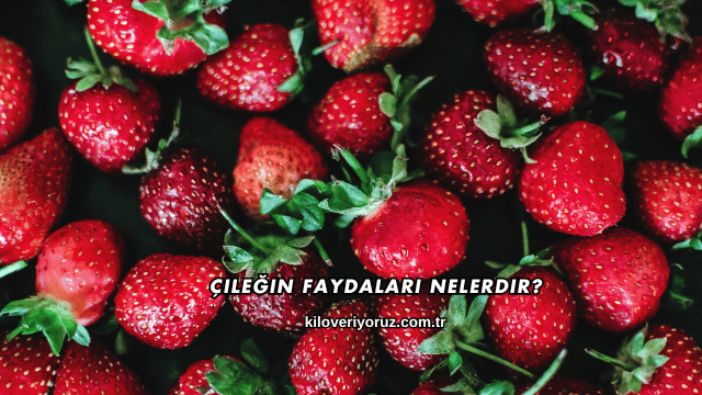 Çileğin Faydaları Nelerdir?