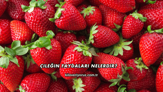 Çileğin Faydaları Nelerdir?