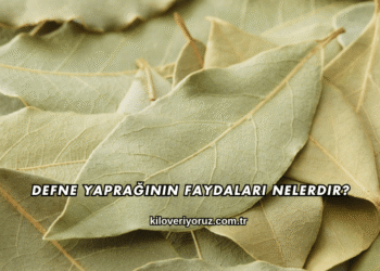 Defne Yaprağının Faydaları Nelerdir?