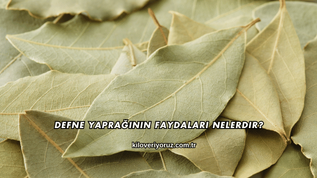 Defne Yaprağının Faydaları Nelerdir?