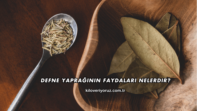 Defne Yaprağının Faydaları Nelerdir?