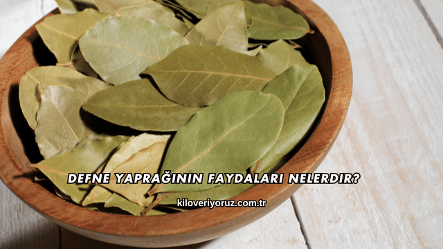 Defne Yaprağının Faydaları Nelerdir?