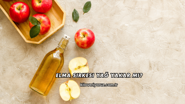 Elma Sirkesi Yağ Yakar mı?