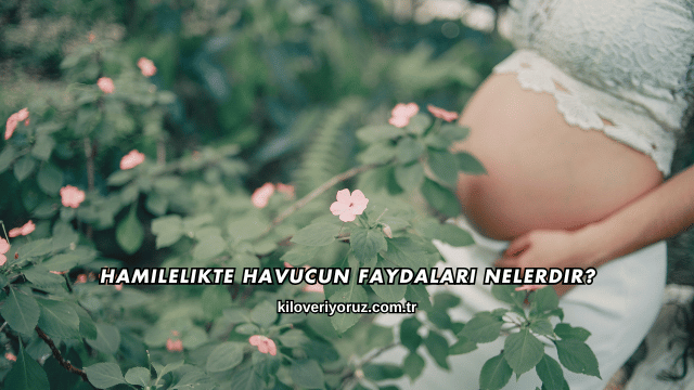 Hamilelikte Havucun Faydaları Nelerdir?