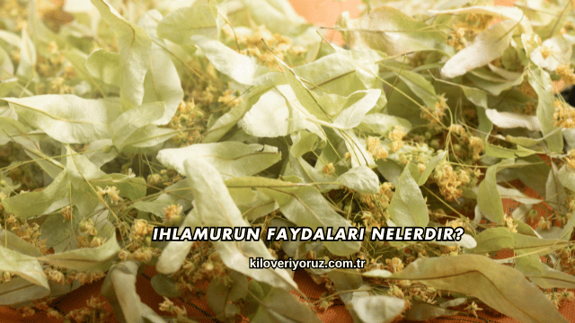 Ihlamurun Faydaları Nelerdir?