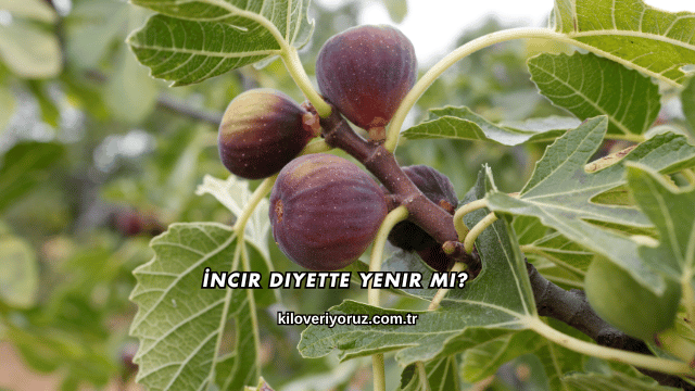 İncir Diyette Yenir mi?