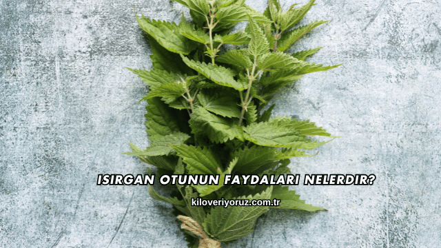 Isırgan Otunun Faydaları Nelerdir?