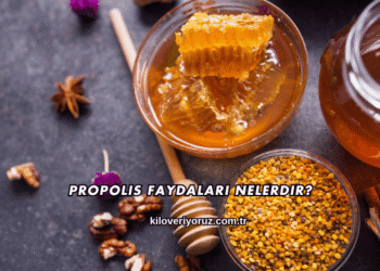 Propolis Faydaları Nelerdir?