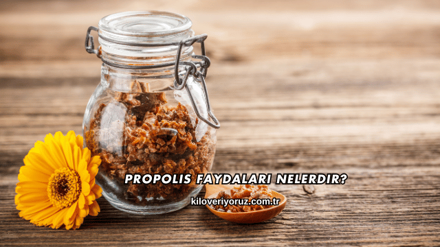 Propolis Faydaları Nelerdir?