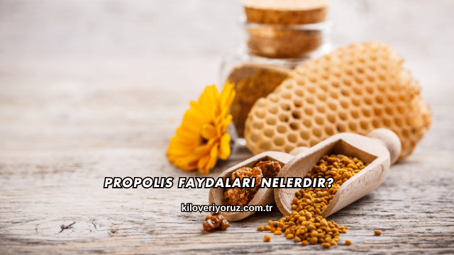 Propolis Faydaları Nelerdir?