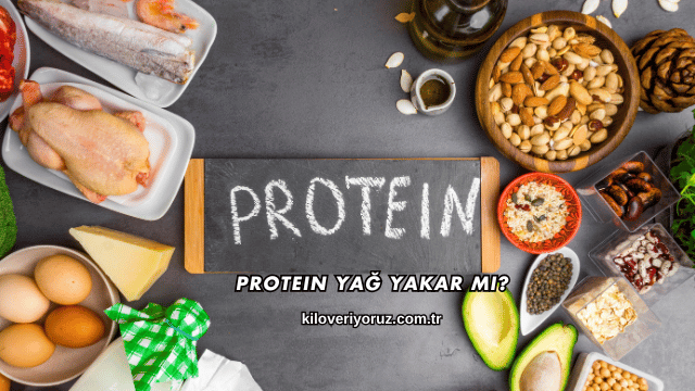 Protein Yağ Yakar mı?