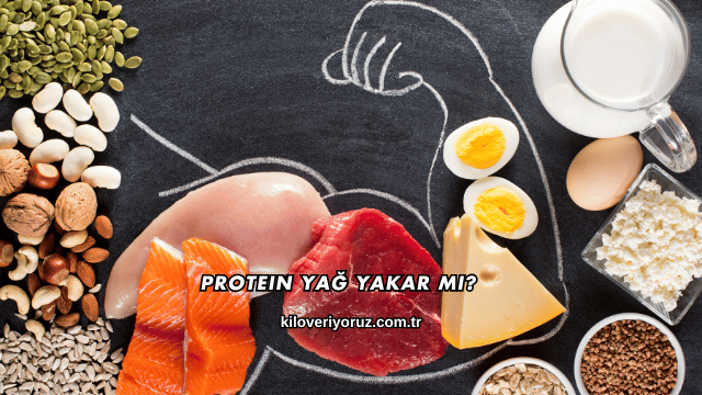 Protein Yağ Yakar mı?