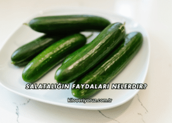 Salatalığın Faydaları Nelerdir?