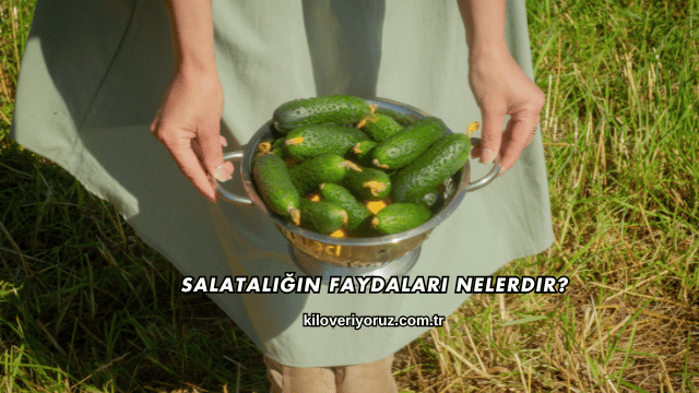 Salatalığın Faydaları Nelerdir?