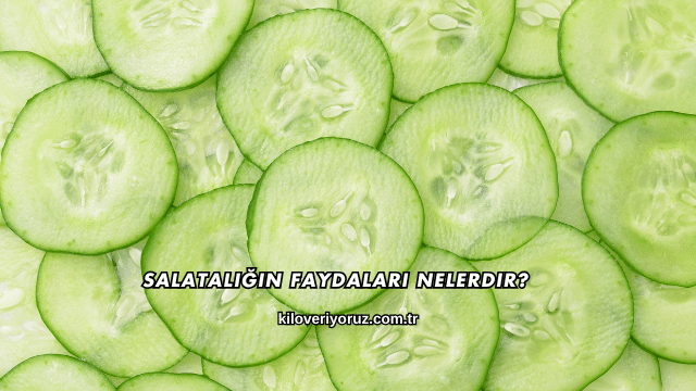 Salatalığın Faydaları Nelerdir?