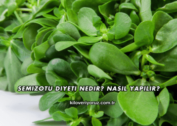 Semizotu Diyeti Nedir? Nasıl Yapılır?