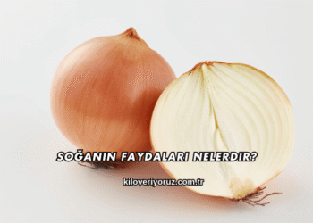 Soğanın Faydaları Nelerdir?