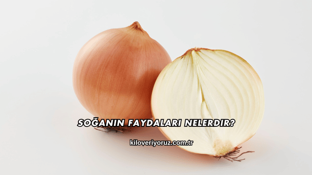 Soğanın Faydaları Nelerdir?