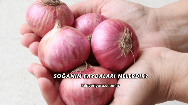 Soğanın Faydaları Nelerdir?