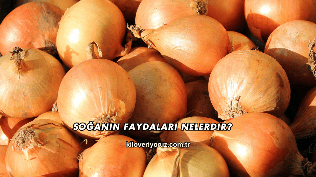 Soğanın Faydaları Nelerdir?