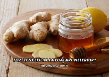 Toz Zencefilin Faydaları Nelerdir?