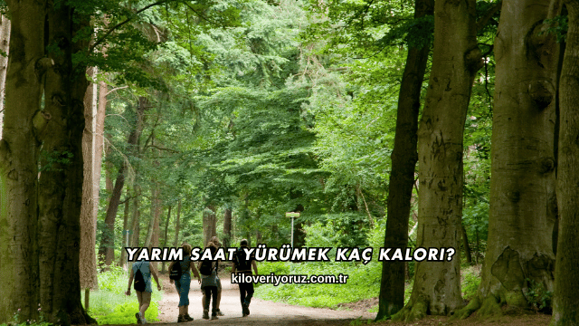 Yarım Saat Yürümek Kaç Kalori?