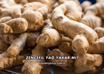 Zencefil Yağ Yakar mı?