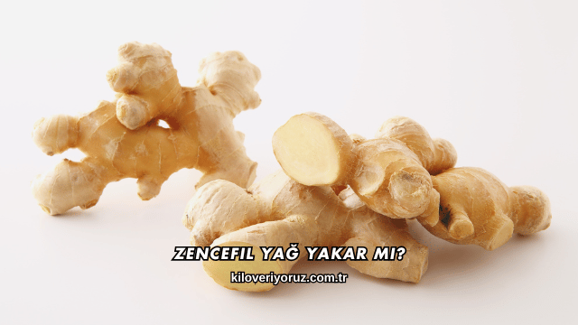 Zencefil Yağ Yakar mı?